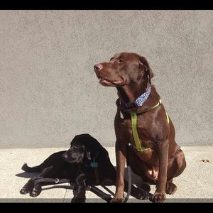 Meet your Posher, Maria